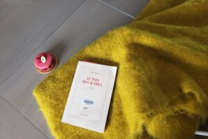 livre le pays des autres
